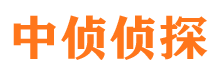 鹤岗市婚姻调查